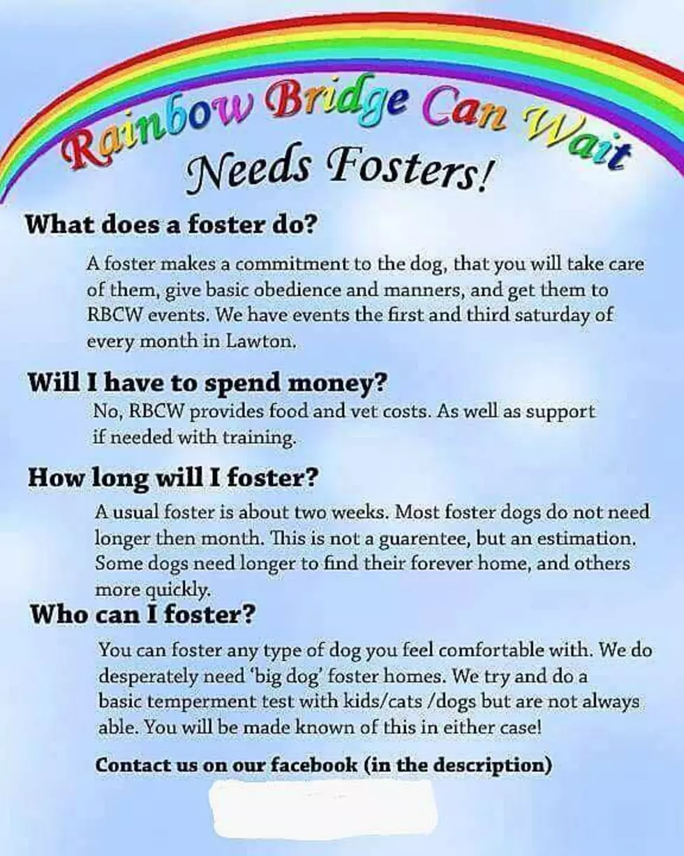 photo courtesy of Rainbow Bridge Can Wait