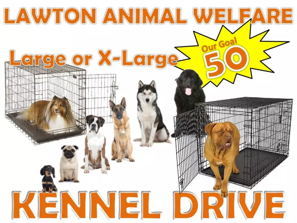 photo courtesy of Lawton Animal Welfare