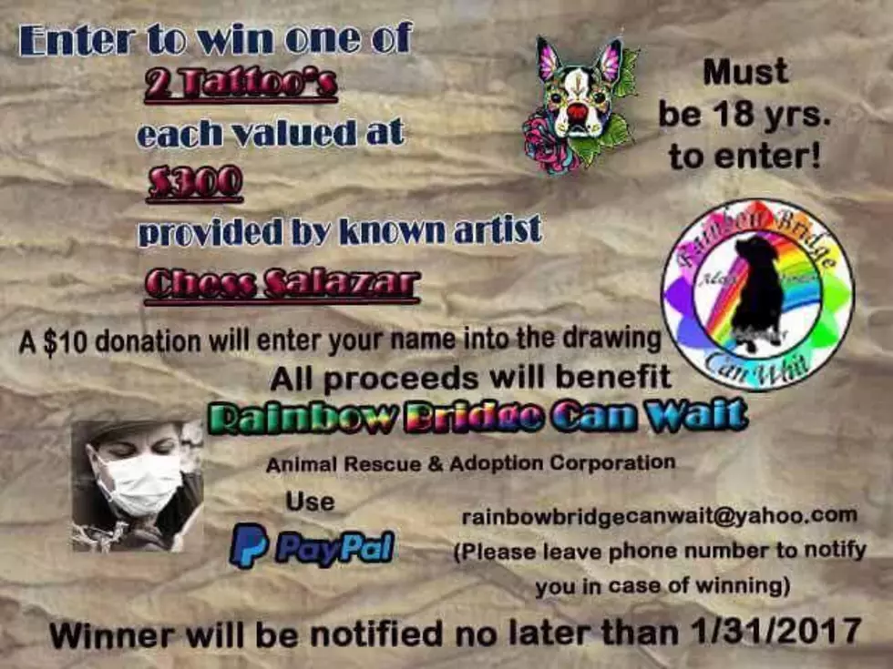 photo courtesy of Rainbow Bridge Can Wait