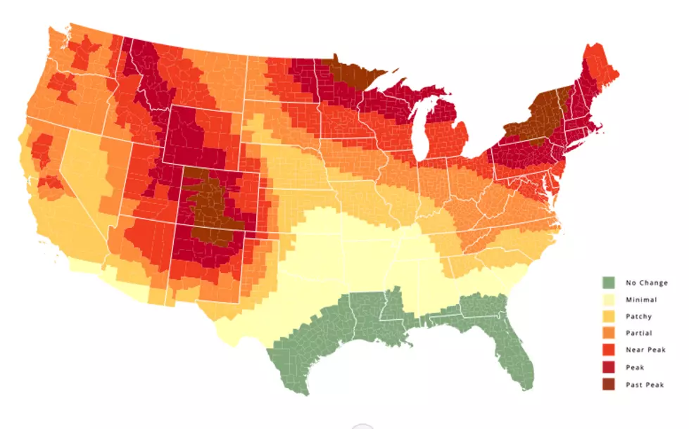 The Fall Foliage Map & Forecast Is In For Southwest Oklahoma