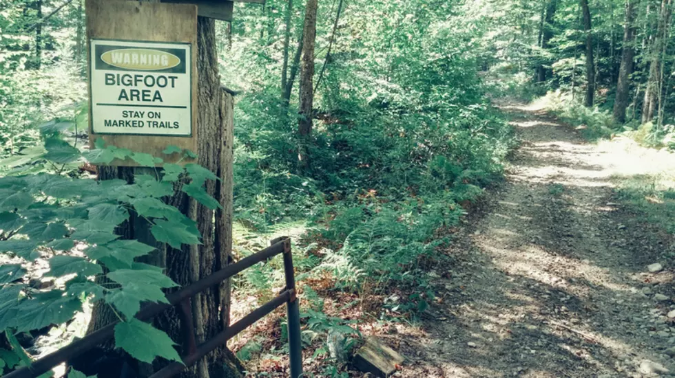 Oklahoma Bill Would Create Official Bigfoot Season!