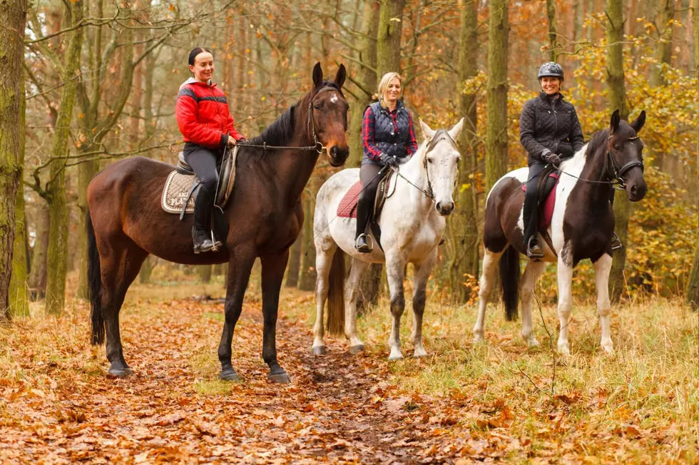 You Can Tour Oklahoma’s Arbuckle Mountains of Horseback