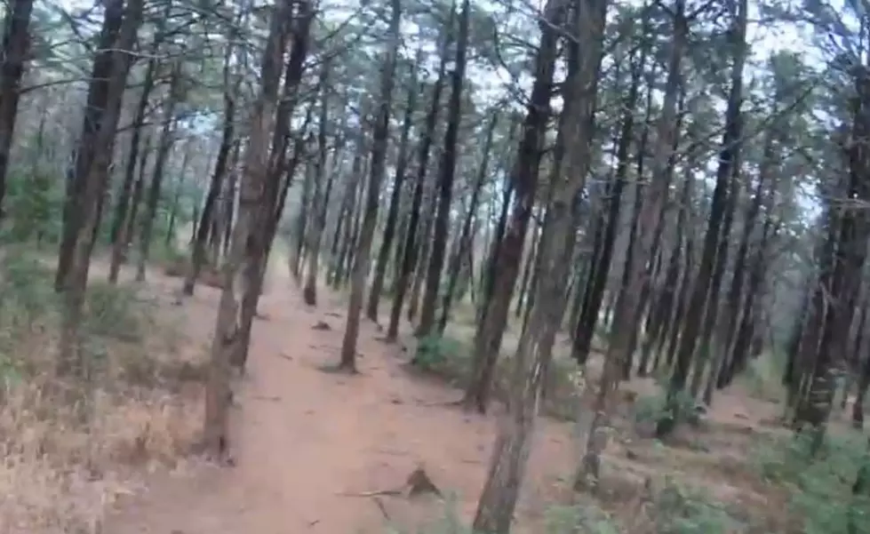 The Parallel Forest Lawton’s Favorite Haunting and Urban Legend