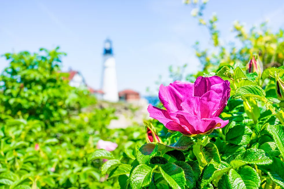 Oklahoma City Lake Bestowed ‘Best Lighthouse in OK’ Award