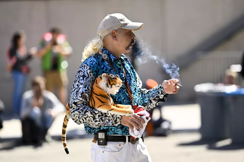 Weird and Wild Exotic Pets You Can Own In Oklahoma
