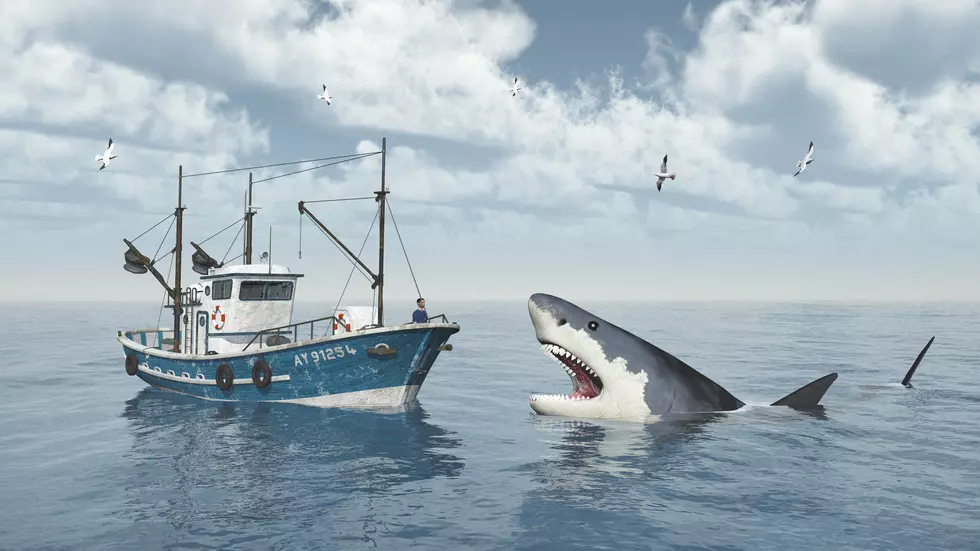 Go Saltwater Fishing This Year… In Oklahoma