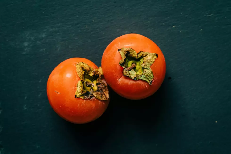First Persimmon Seeds Hint at Snowy Oklahoma Winter Ahead
