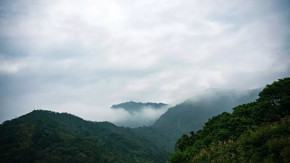 Oklahoma Has a Cloud Forest and Almost No One Knows