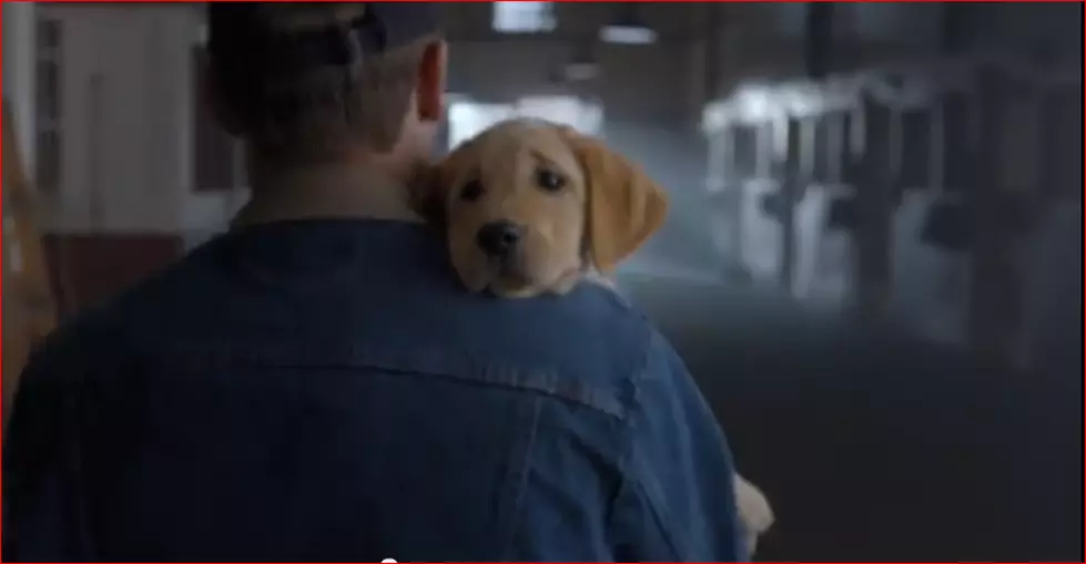 OMG Budweiser! You’re Killin’ Me With These Ads
