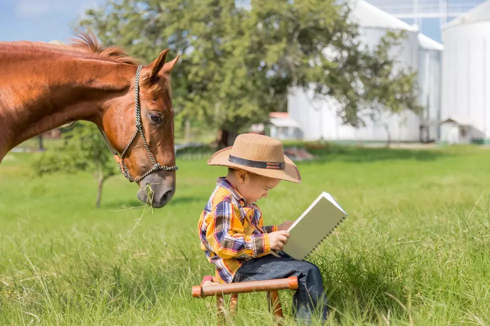 Canva/Cross Creek Stables Facebook