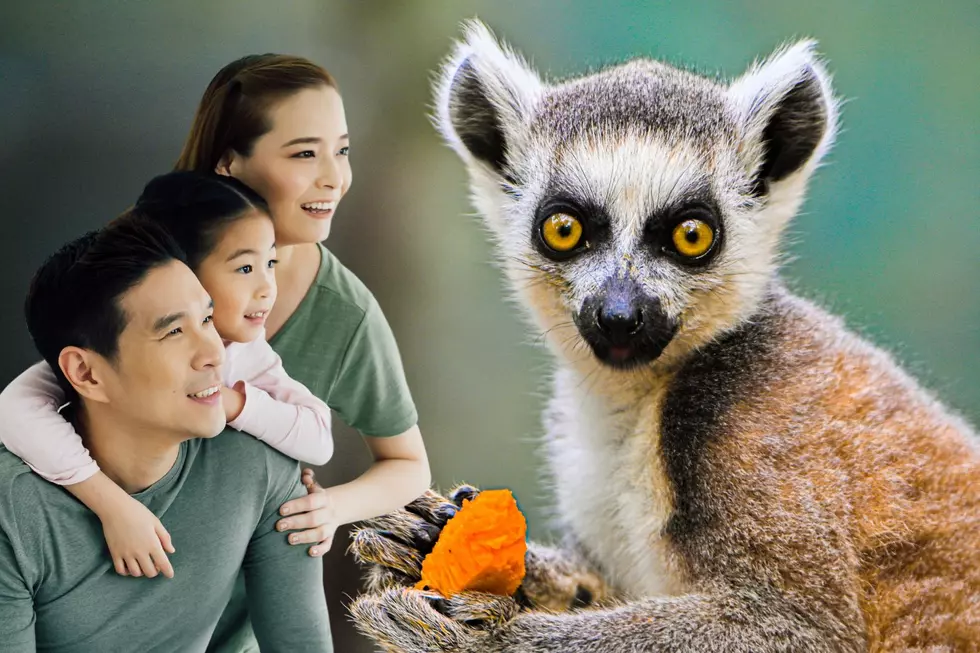 Tremendous Interactive Experiences You’ll Love in Oklahoma