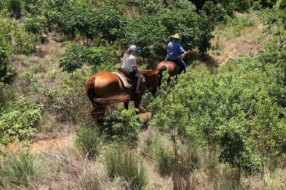 Canva/Old Caldwell Trail Rides Facebook
