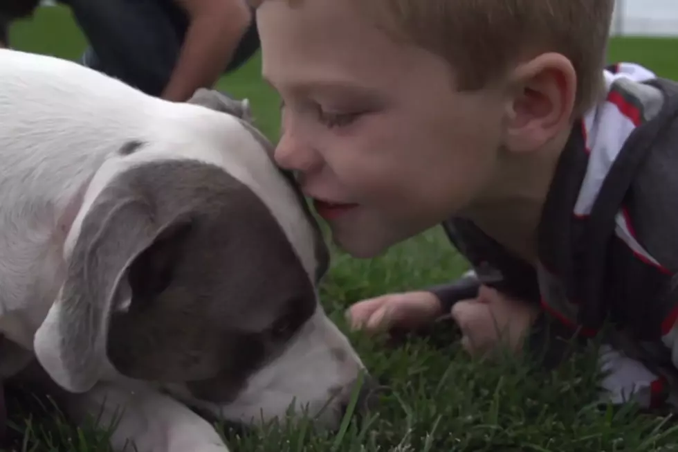 Protest the Hero Challenge Pit Bull Laws With Lyric Video for ‘A Life Embossed’