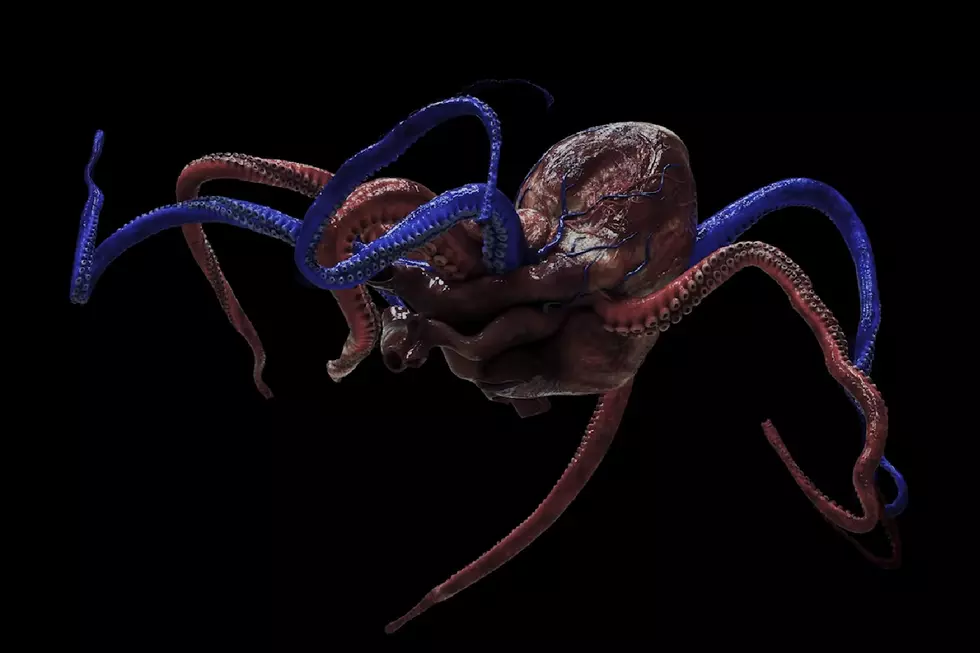 Watch 2D Clip of A Perfect Circle’s Hologram Video for ‘TalkTalk’