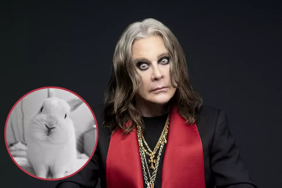 Rabbit Named After Ozzy Osbourne Is Looking for a Forever Home